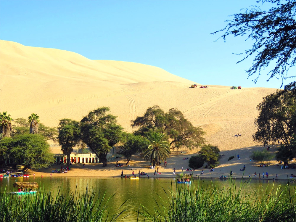 Tubulares Y Sandboarding - AT