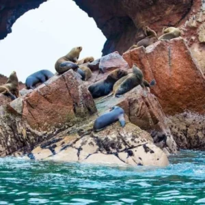 TOUR PARACAS